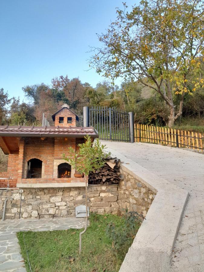 Laci Tirana